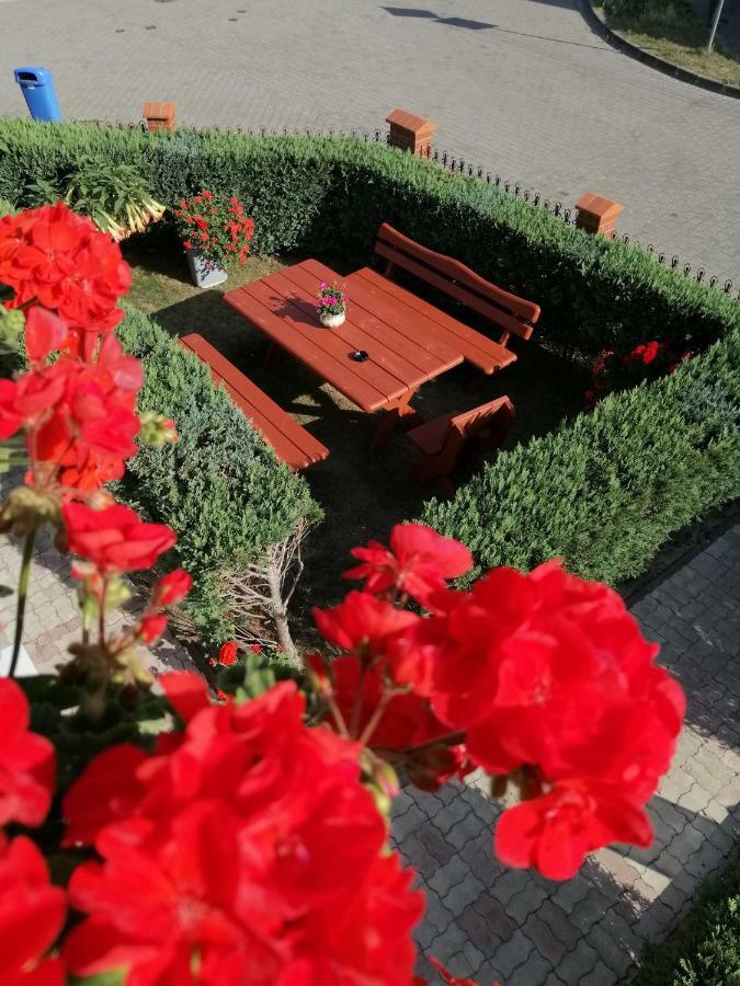 Orka Wakacje Дзвижино Экстерьер фото